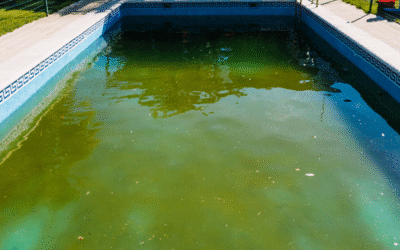 Why Your Pool Water Never Stays Clear: When the Surface Is to Blame