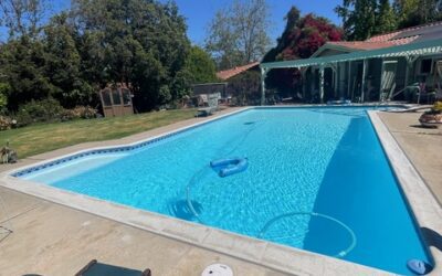 Pool Trends That Have Changed in 35 Years